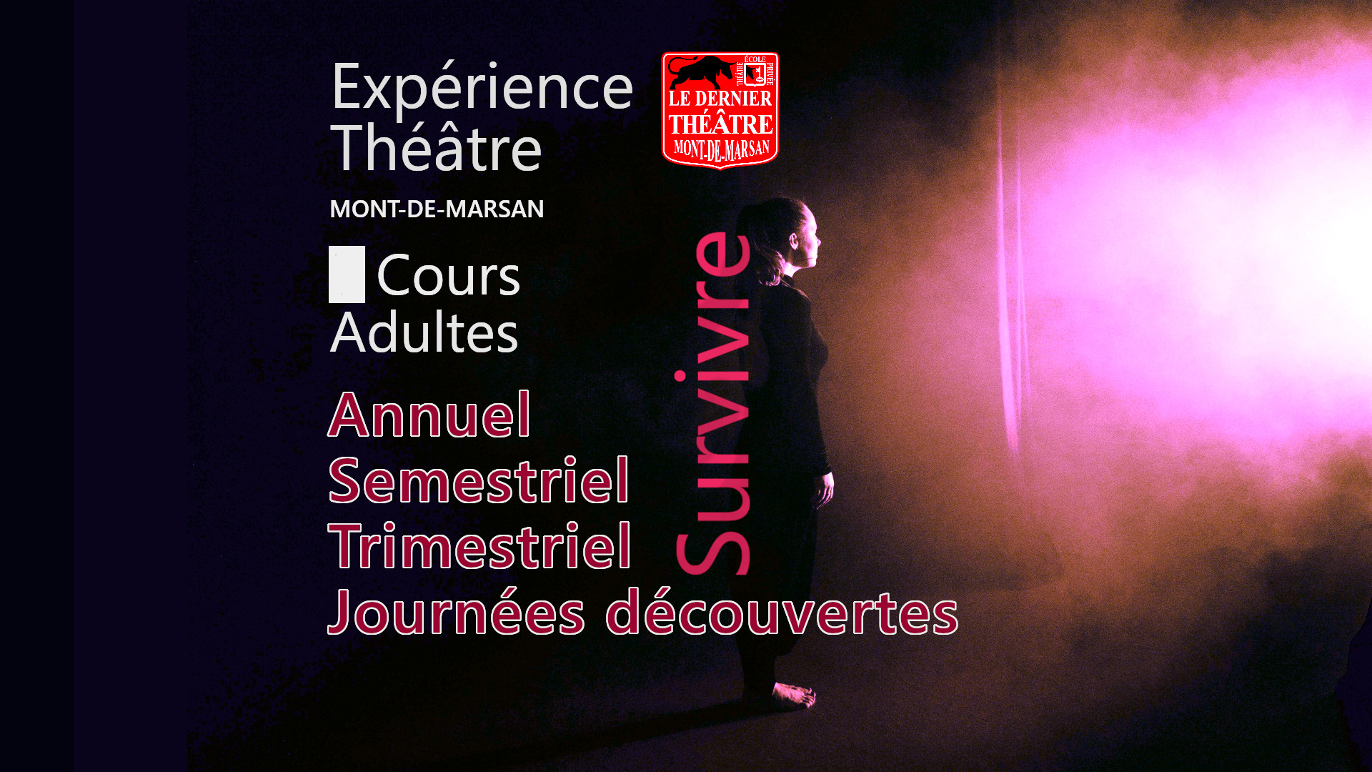 Le dernier théâtre - École privée internationale art Dramatique - Cours Adultes